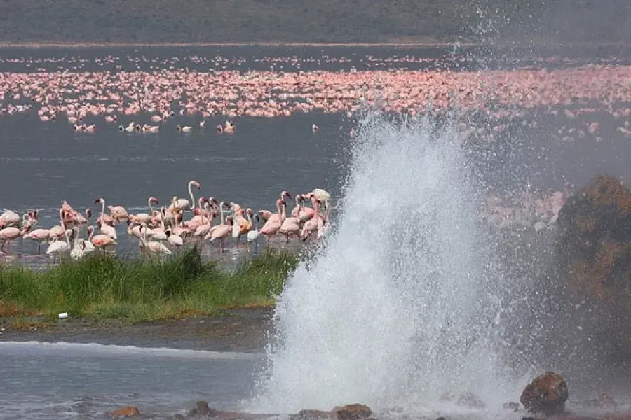 Safari Shaba (9 Days)