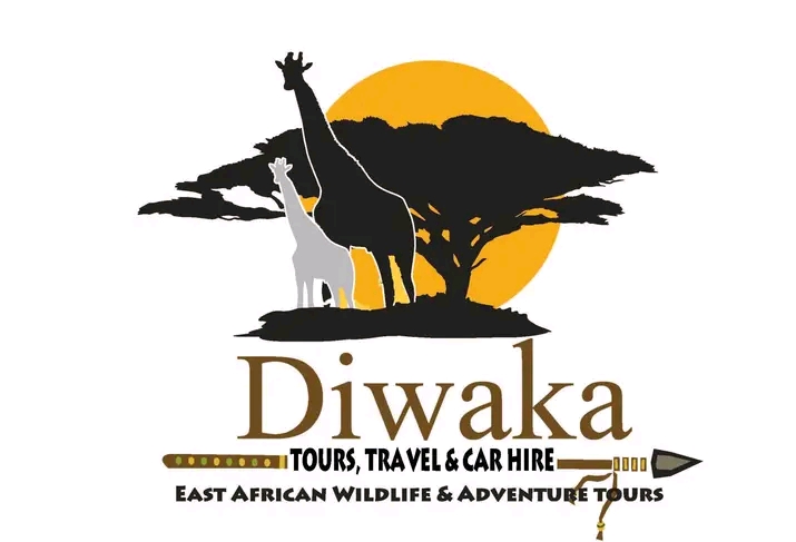 Diwaka Safaris Logo