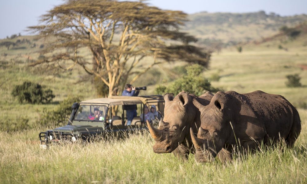 best time of year to visit kenya safari