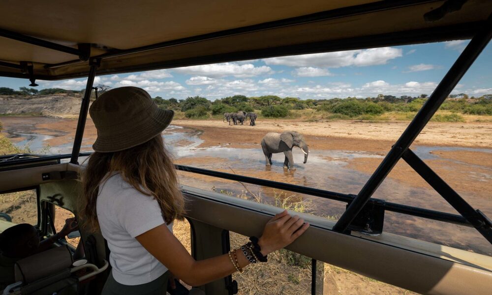 Safari To Kenya