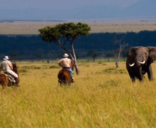 safari a kenya