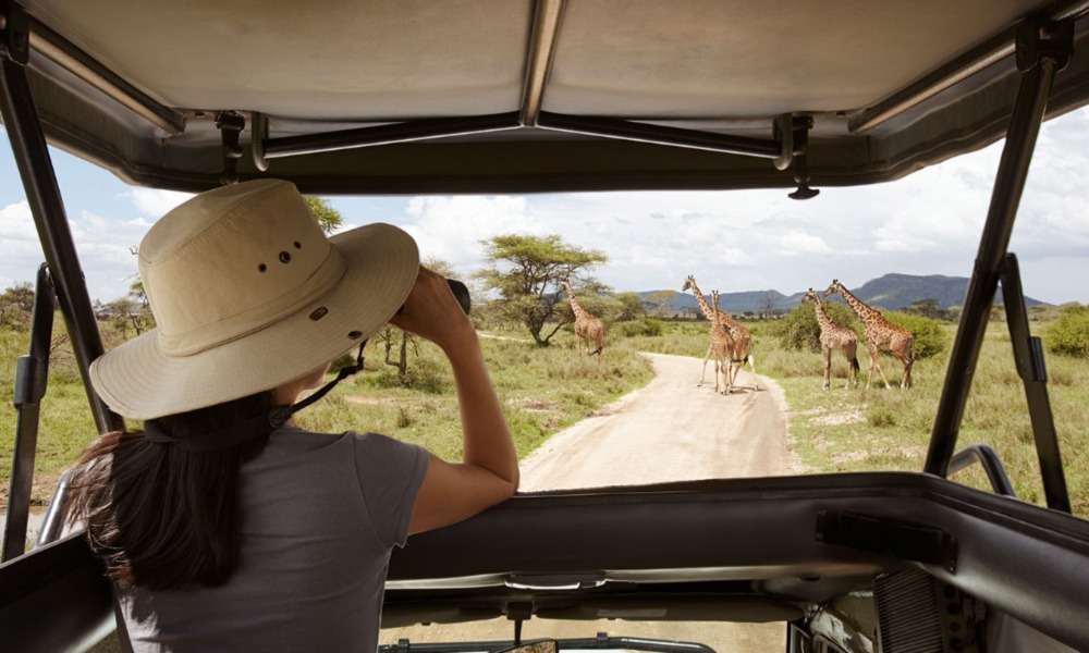 Safety In Kenya Safari