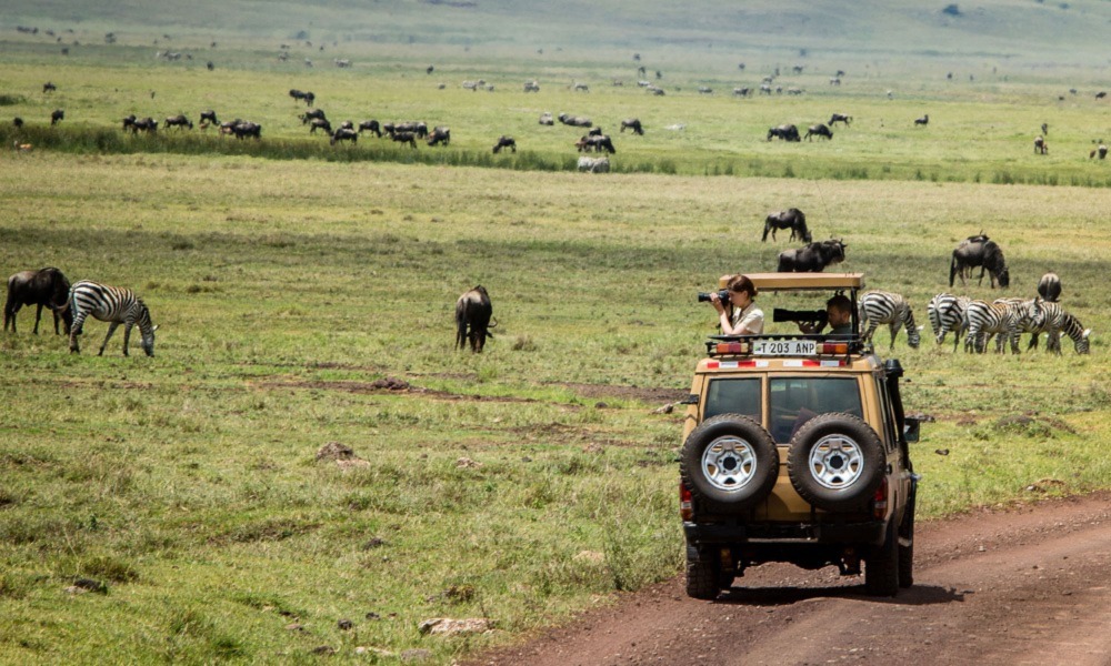 Exciting Safari Activities in Masai Mara