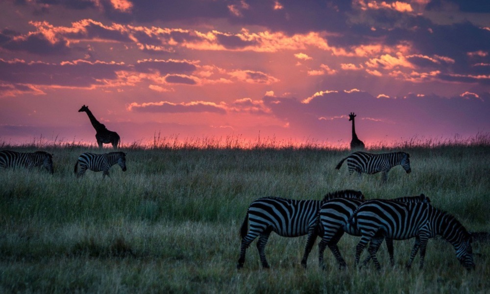 Maasai Mara’s Landscape