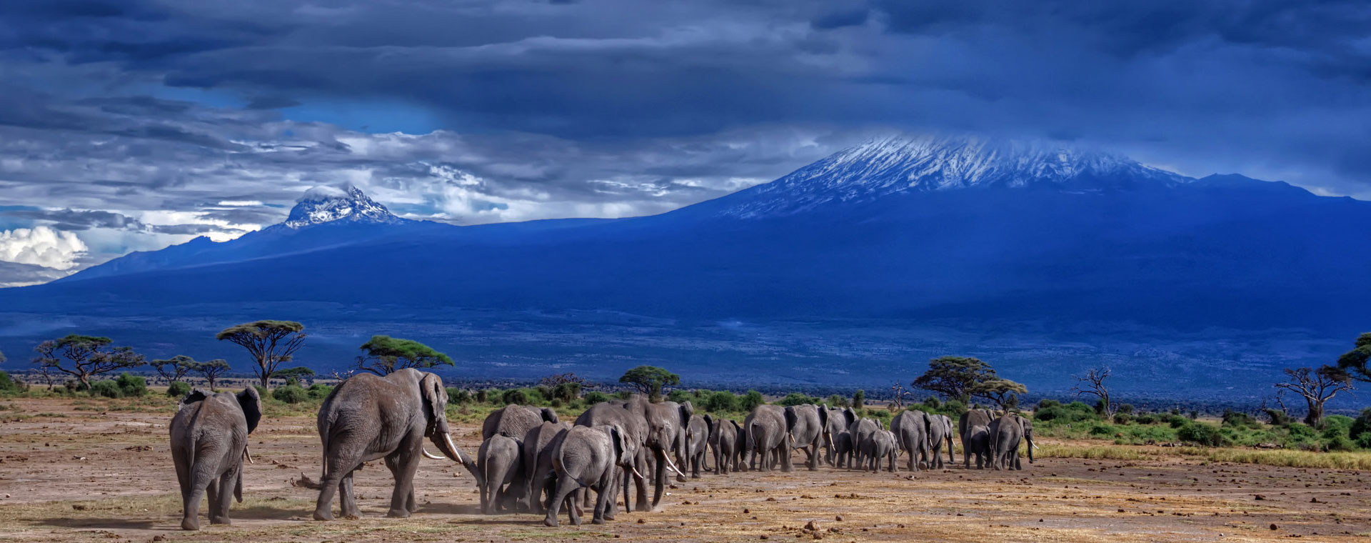 Kilimanjaro National Park 