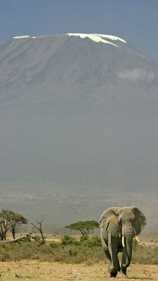 Kilimanjaro National Park || Diwaka Safaris