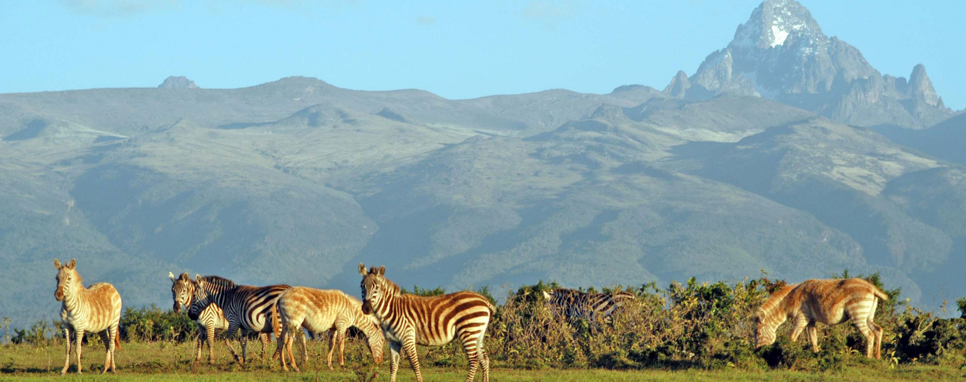 Mt Kenya National Park 