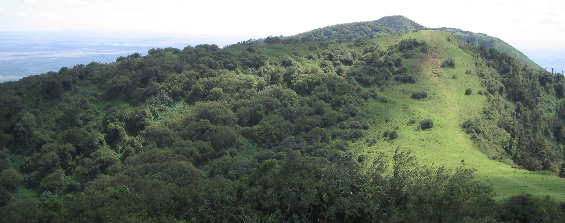 Ngong Forest 