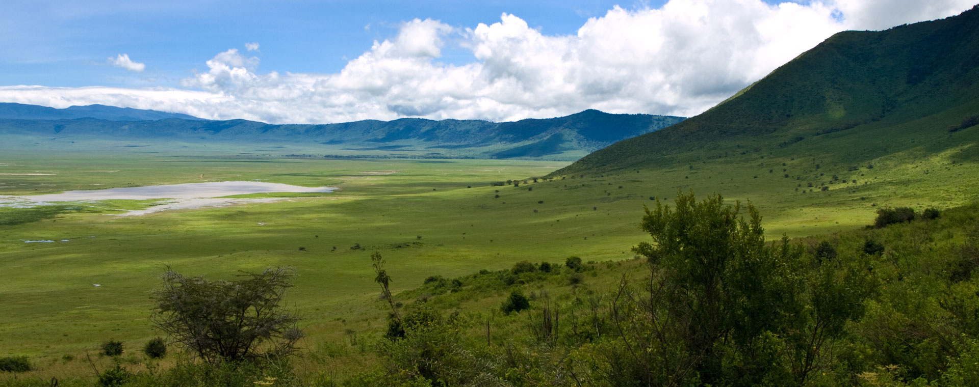 Nyerere National Park 