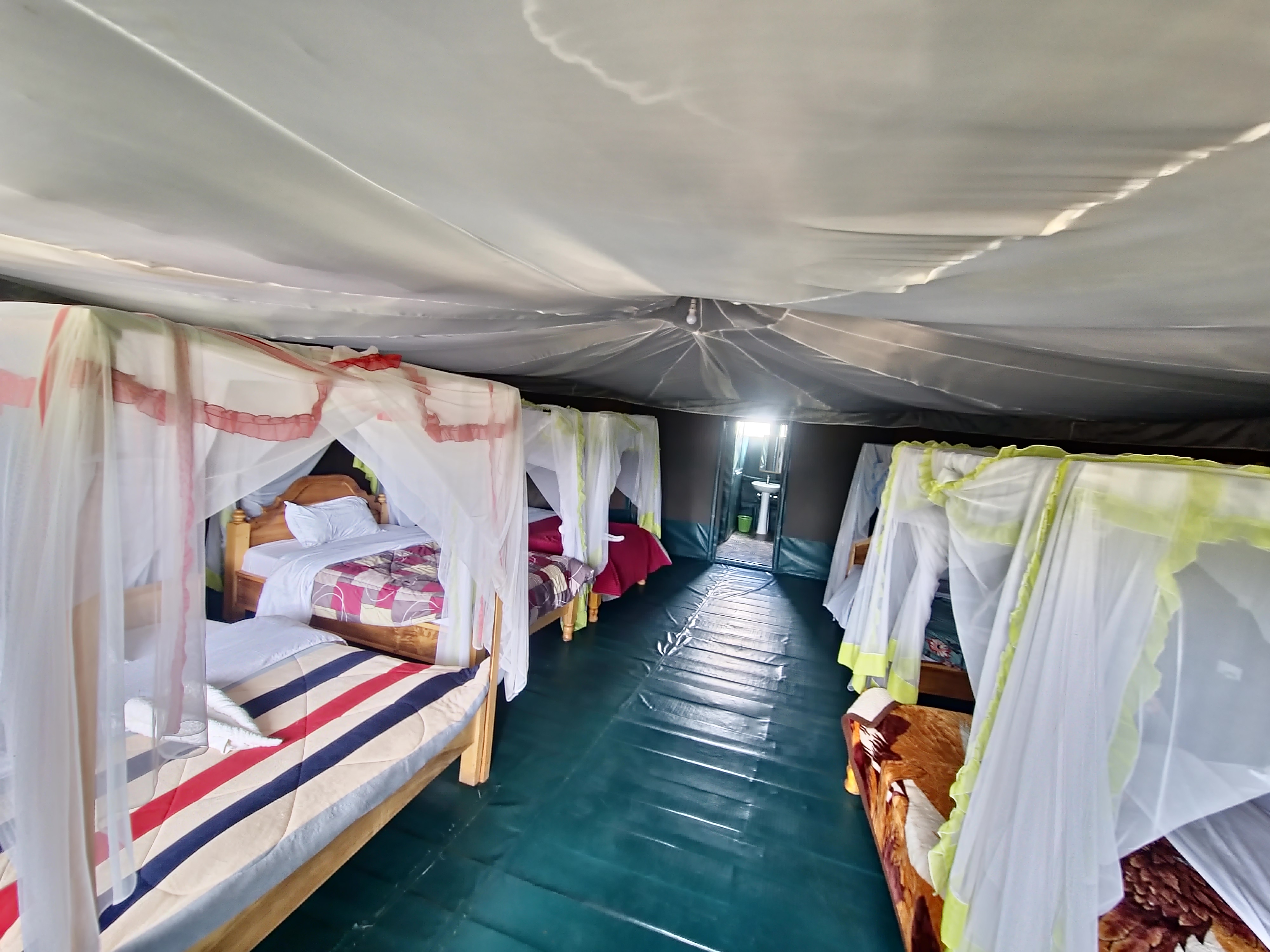 Kibale Forest - Queen Elizabeth & Lake Mburo Parks (5 Days)
