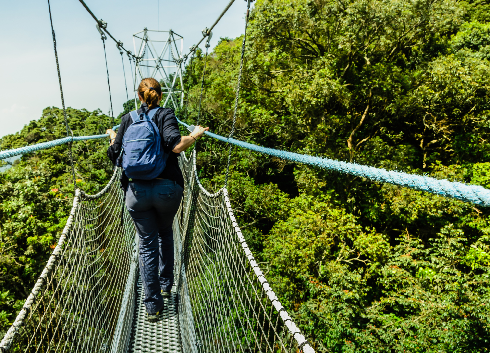 Nyungwe National Park image 2