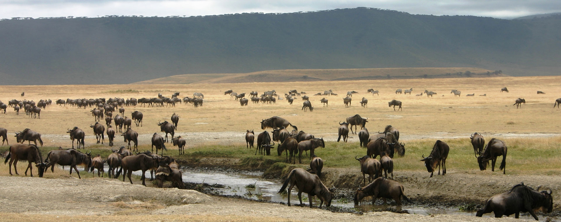 Serengeti National Park