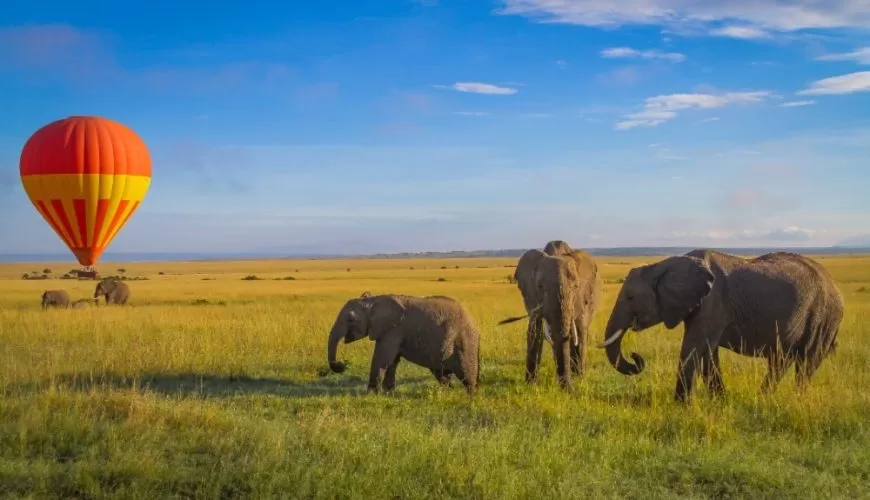 Masai Mara National Reserve image 4