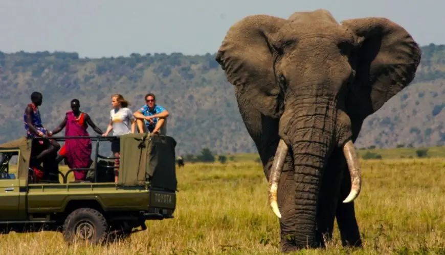 What You Need To Know While Preparing For Your Kenyan Safari For USA Travellers