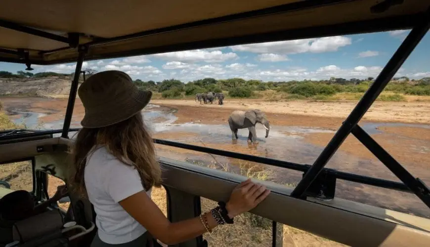 How UK Travellers Can Plan A Safari To Kenya?