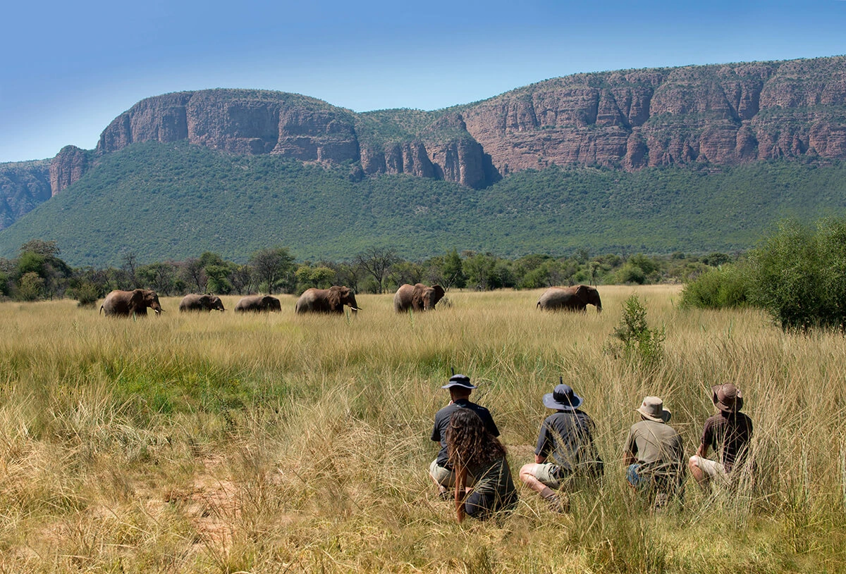 Arusha National Park image 5