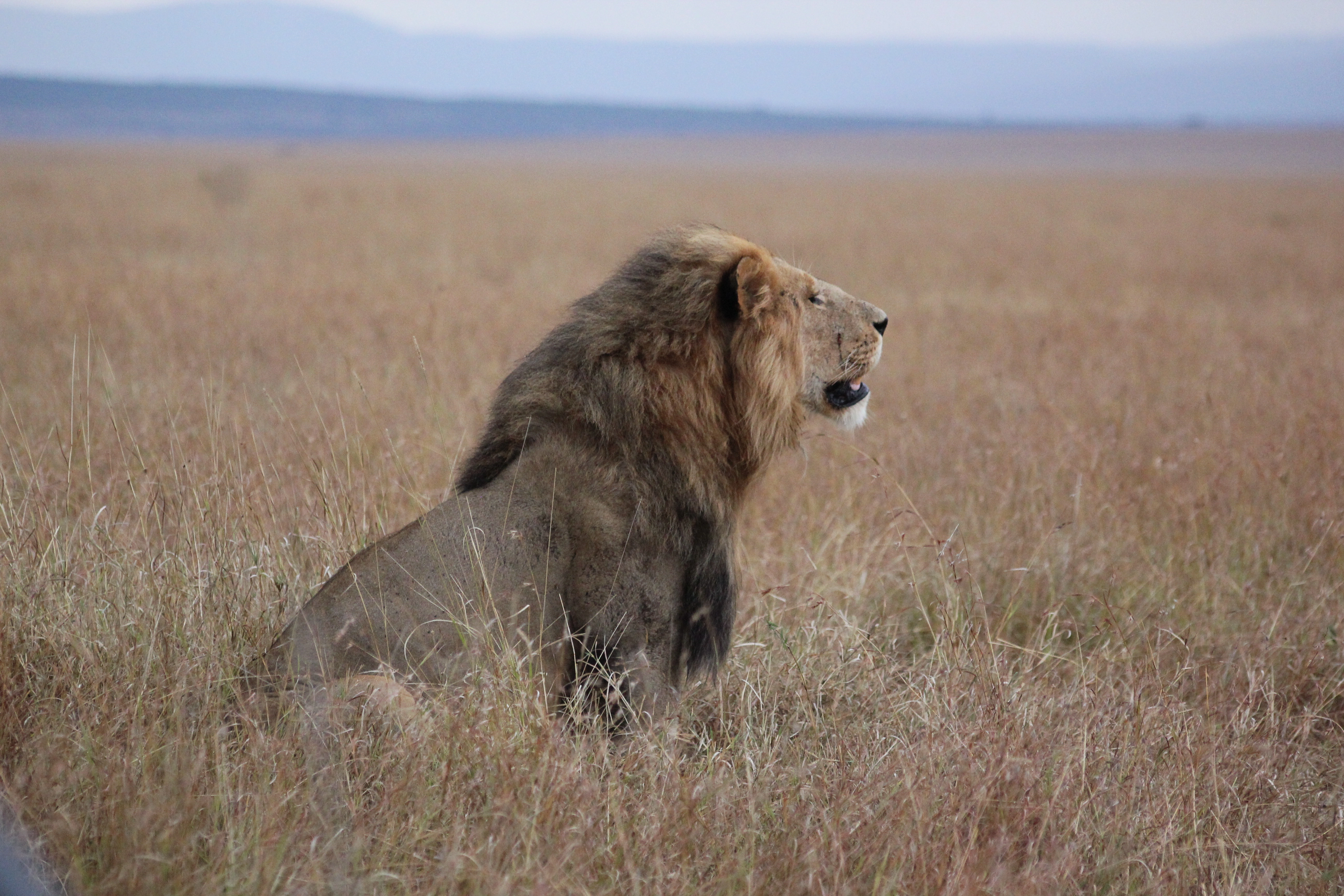 Avani Victoria Falls Package
