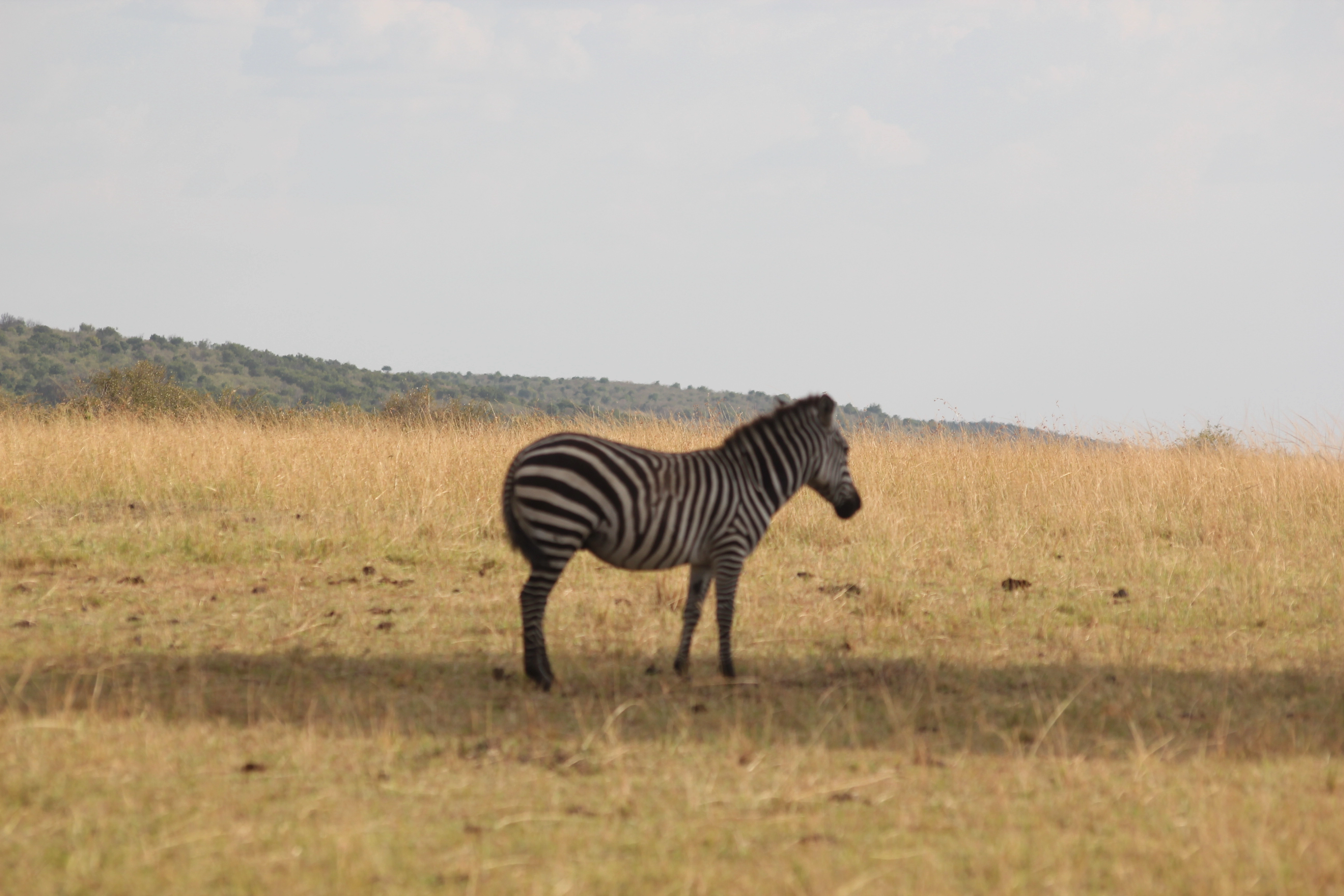 Tanzania Incentives, Meetings & Conferences