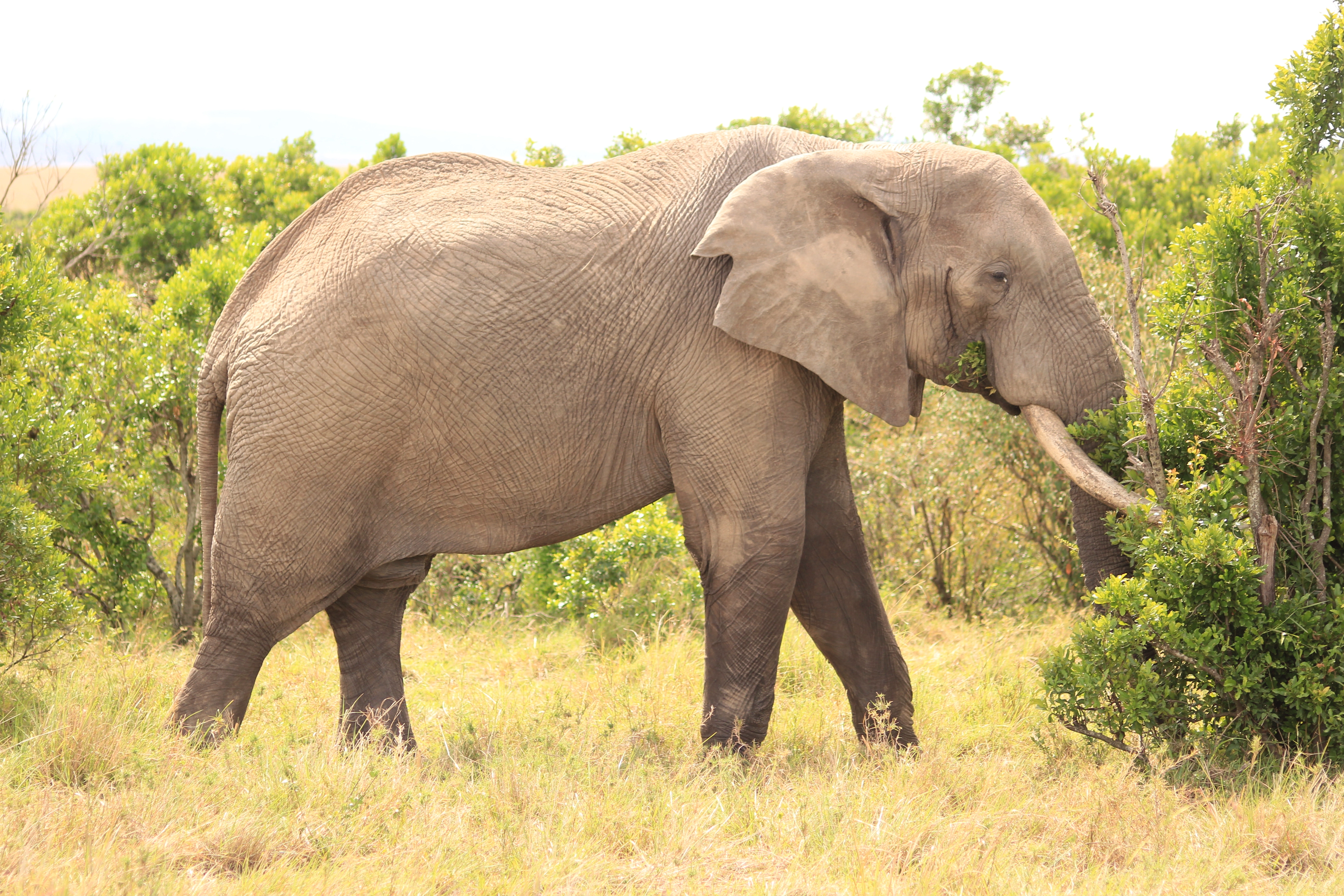 13 Days Tanzania Family Safari