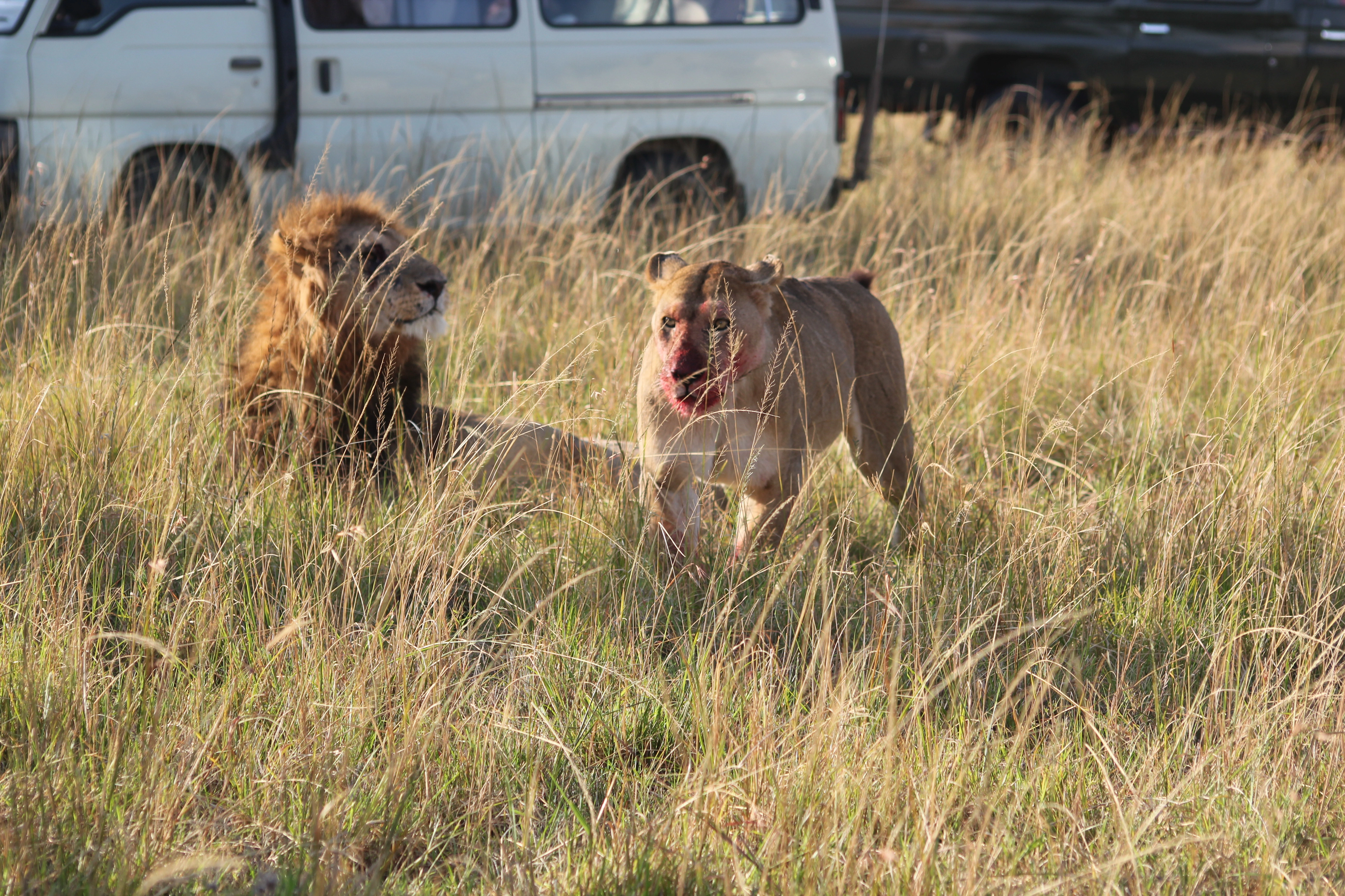 13 Days Tanzania Family Safari