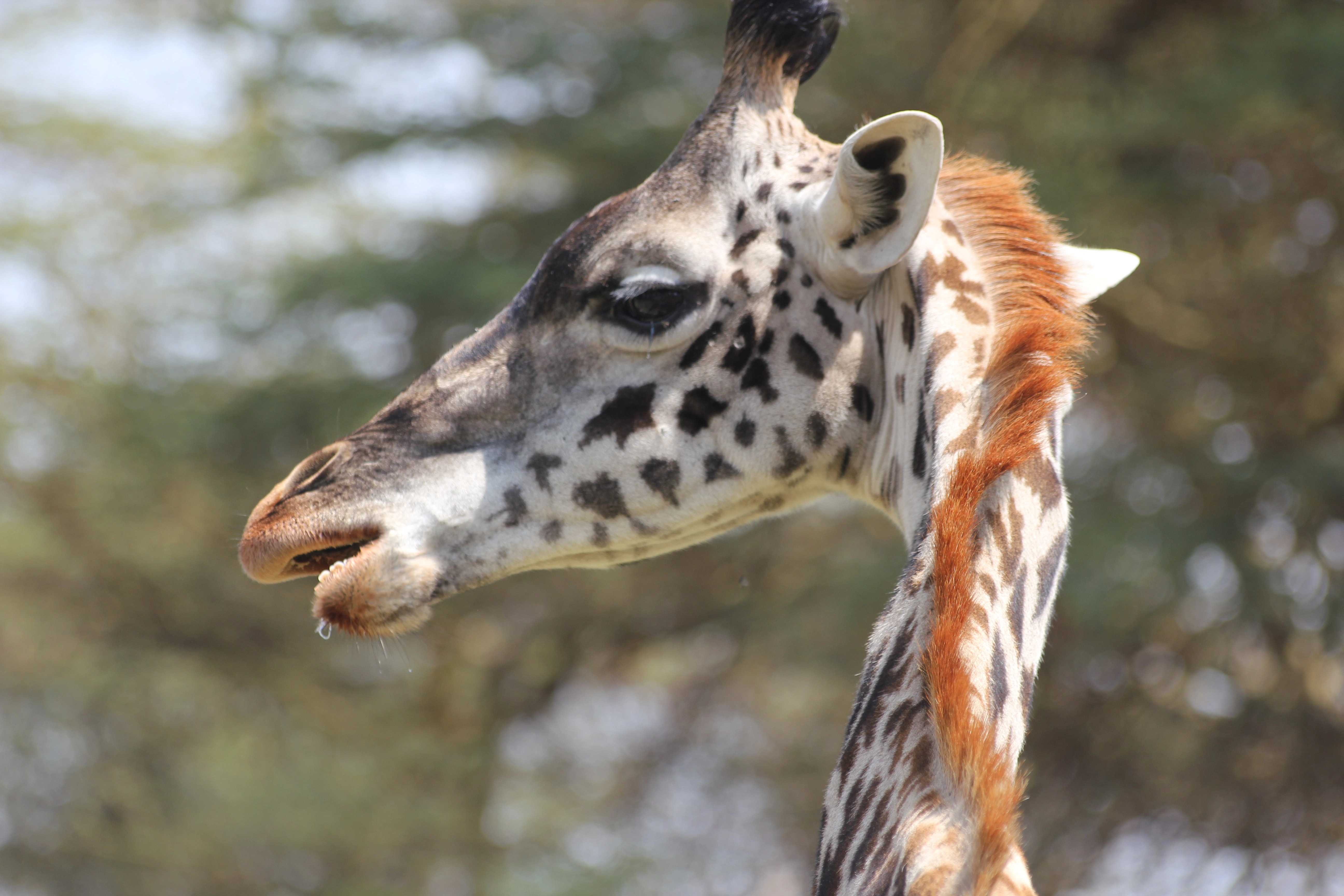 6 Days Tanzania Beyond Safari