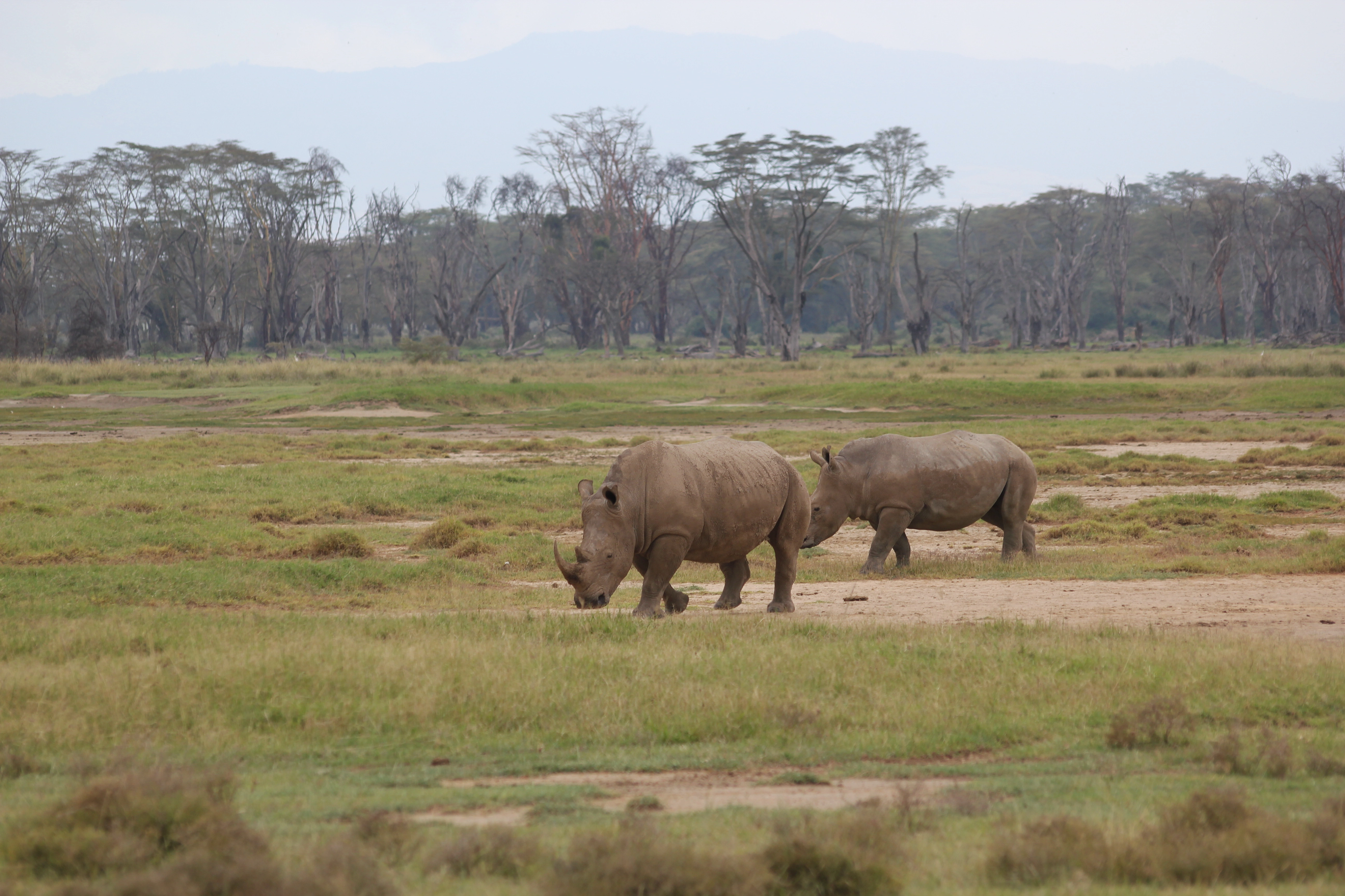 6 Days Tanzania Beyond Safari