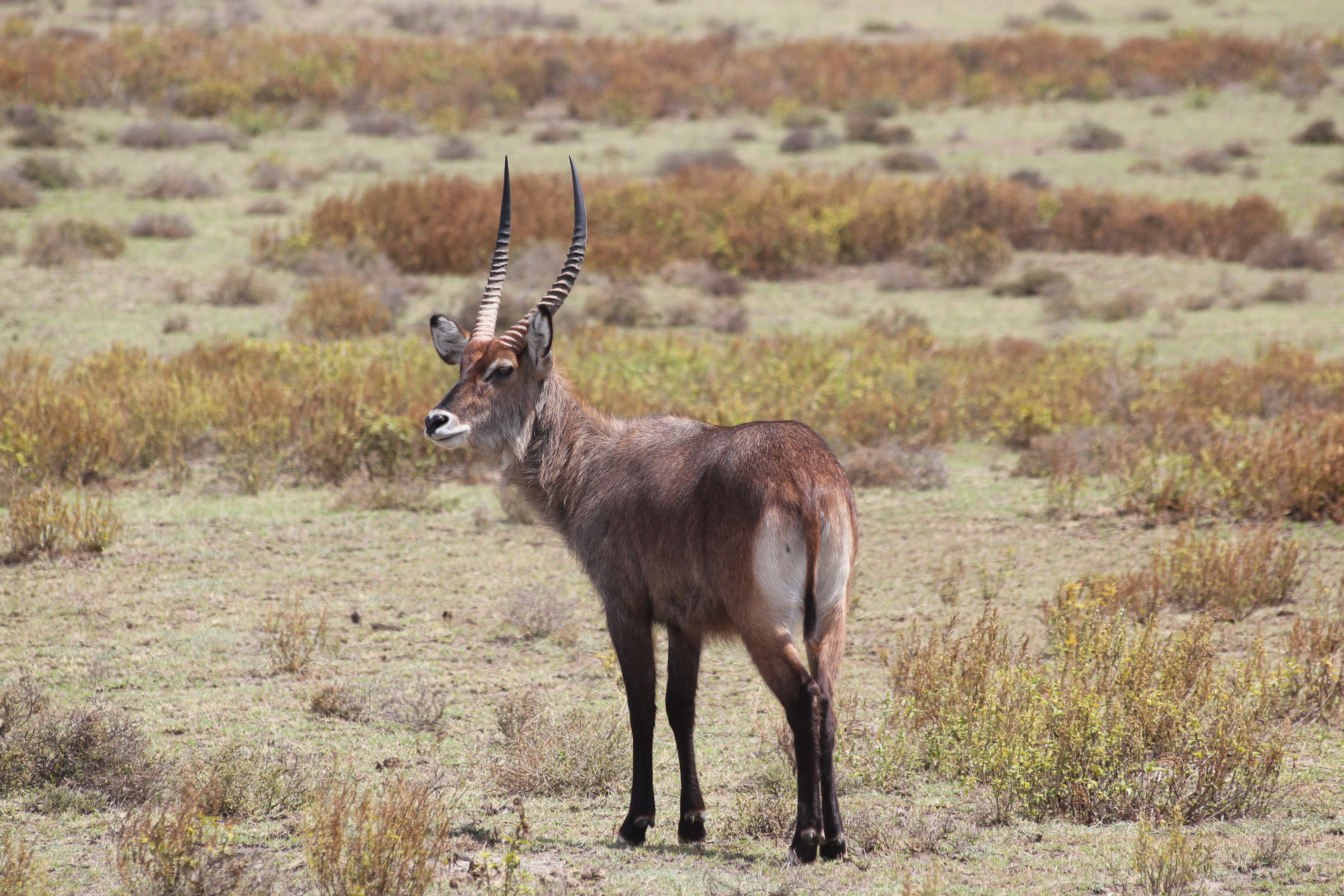 6 Days Tanzania Beyond Safari