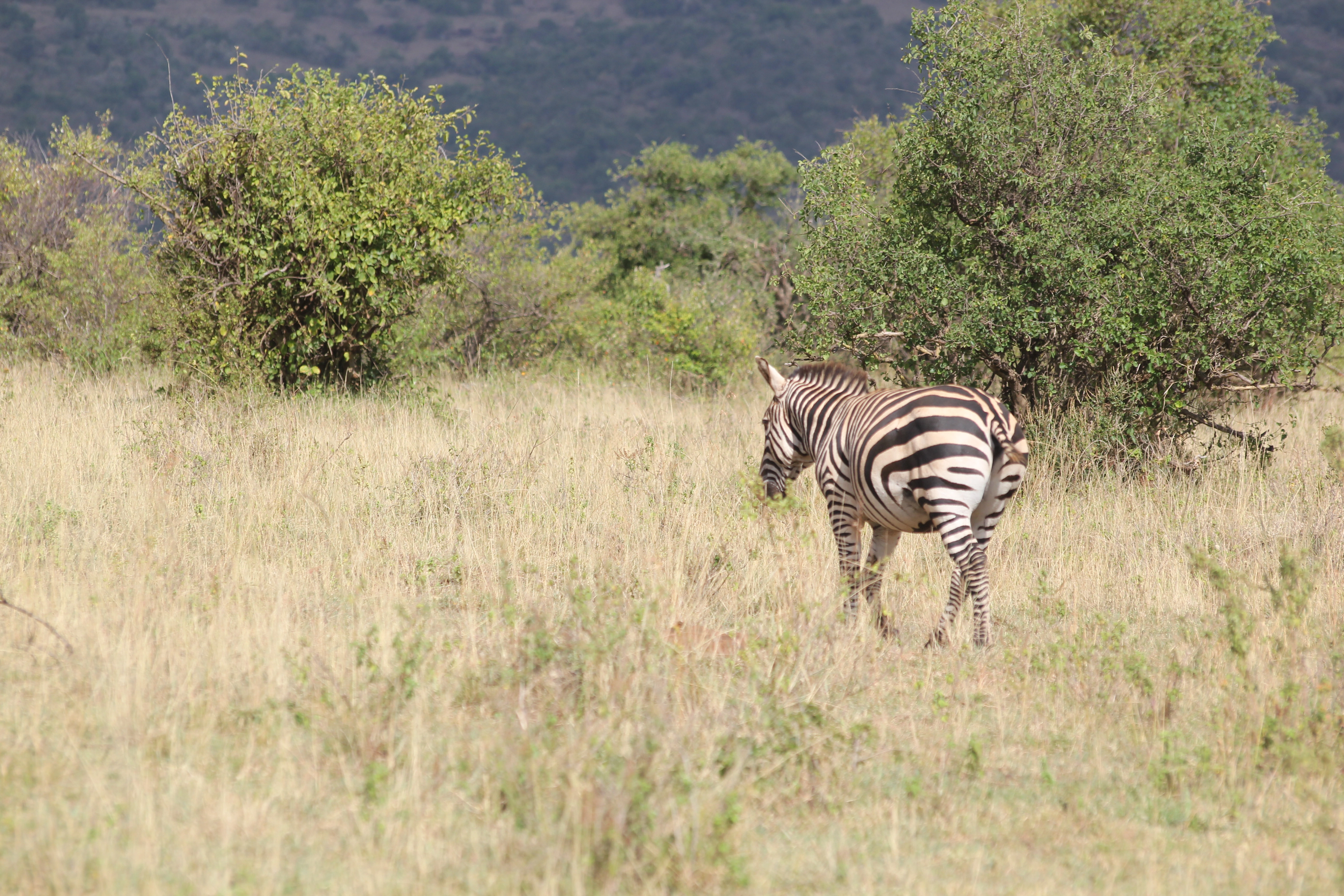 Zambia Destination