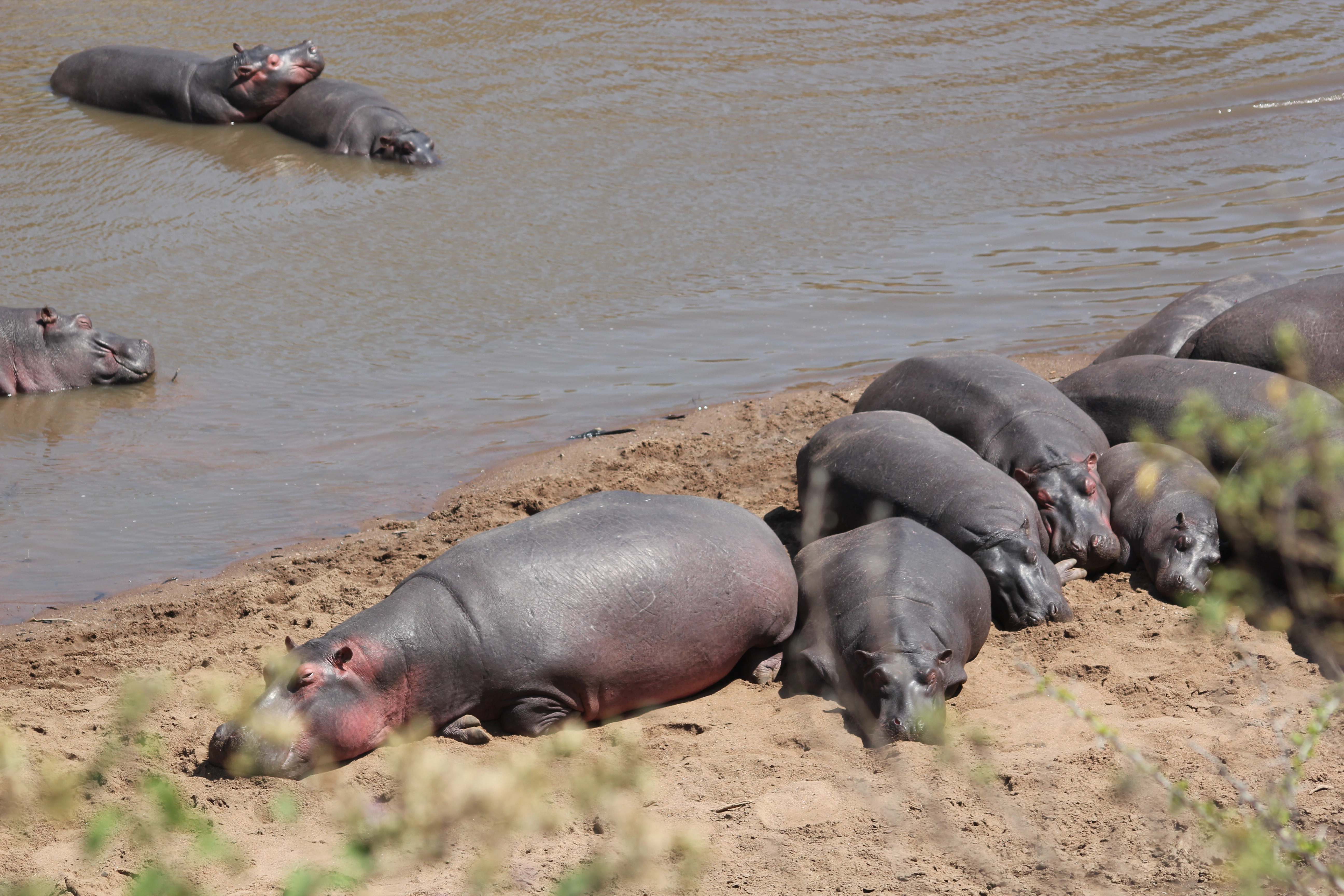 Kenya, Tanzania & Mombasa Beach Safari (17 Days
