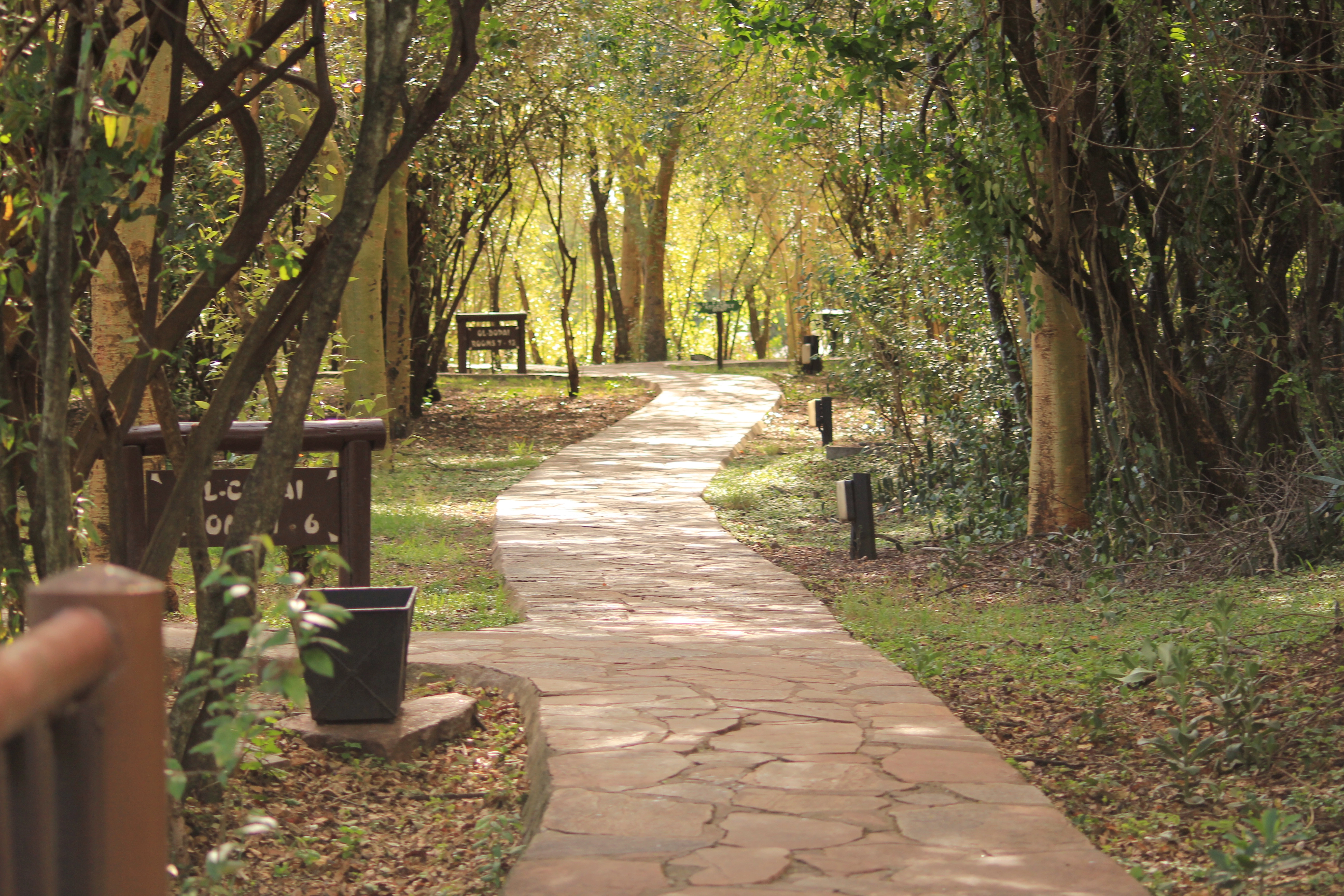 Amboseli Extension (1 Night)