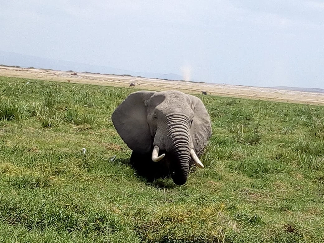 Mwaluganje Elephant Sanctuary