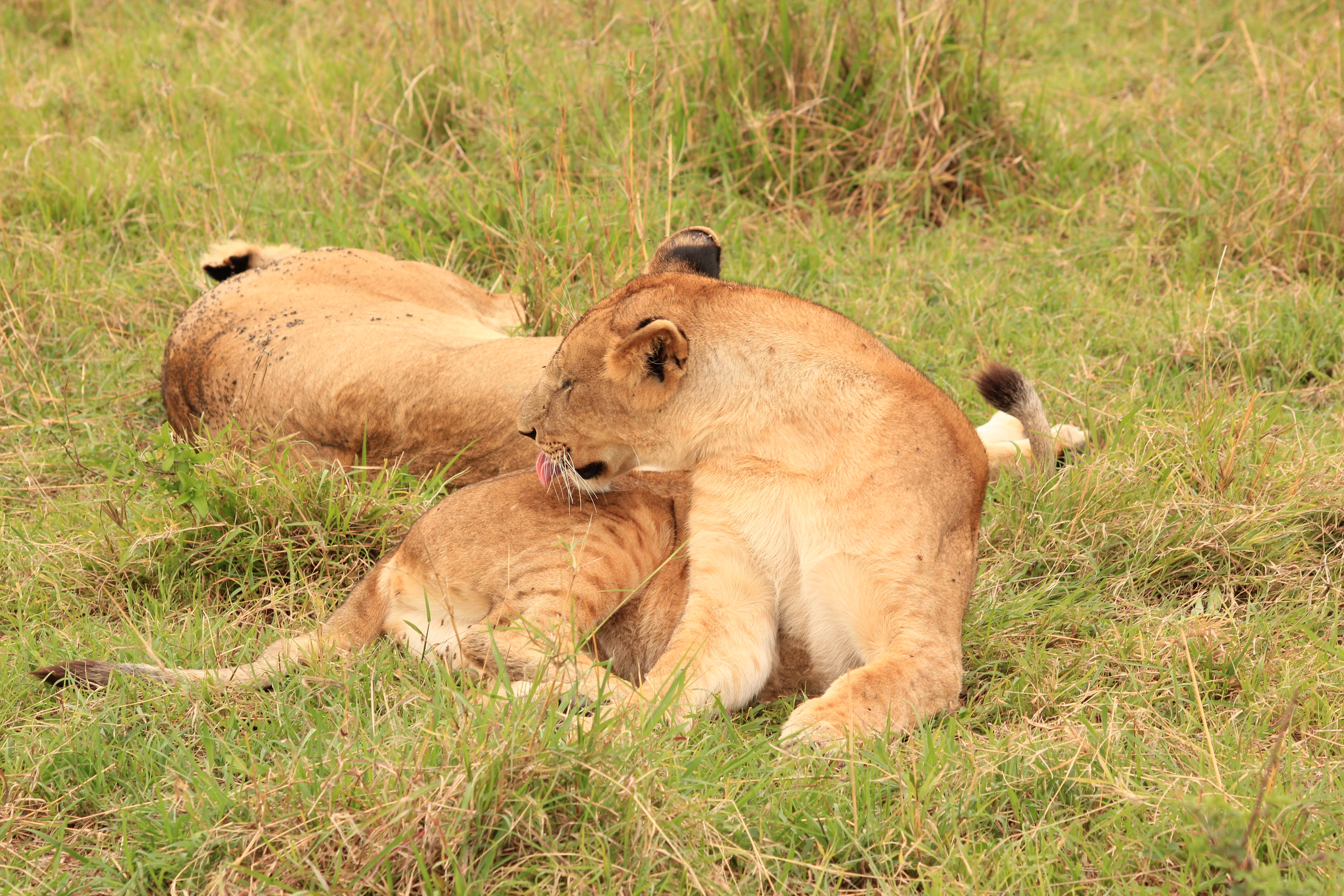 Day 1:Nairobi