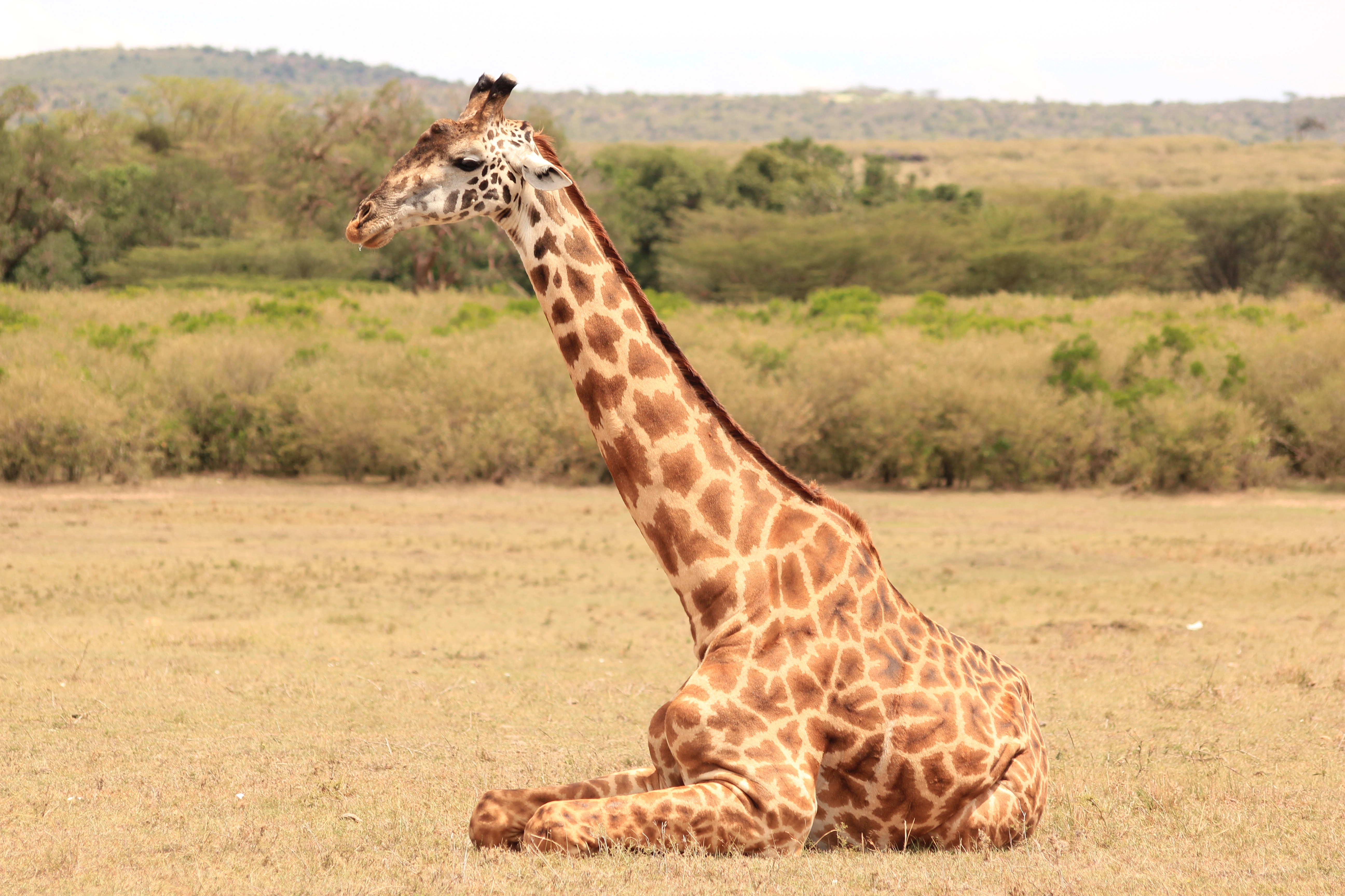 12 Days Kenya Photography Safari