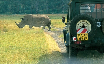 Murchison Falls - Kibale Forest - QE & Lake Mburo (7 Days)
