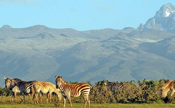Murchison Falls - Kibale Forest - QE & Lake Mburo (7 Days)