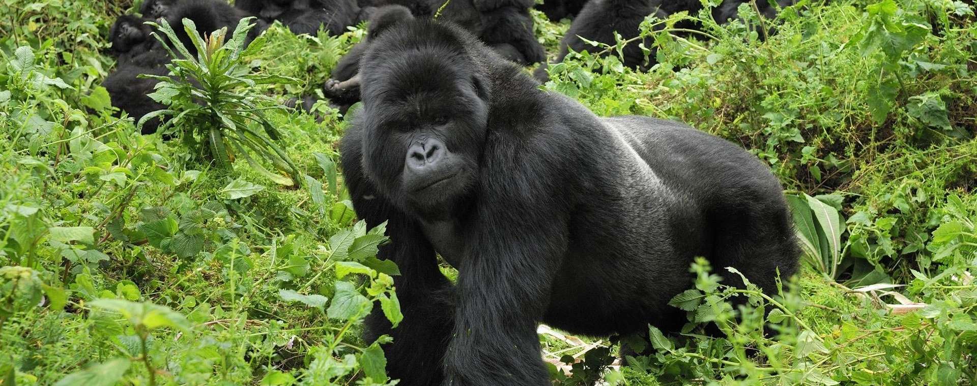 Queen Elizabeth National Park (3 Days)