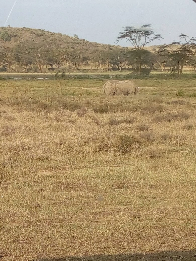 7 Days Classic Kenya Conservancy Safari