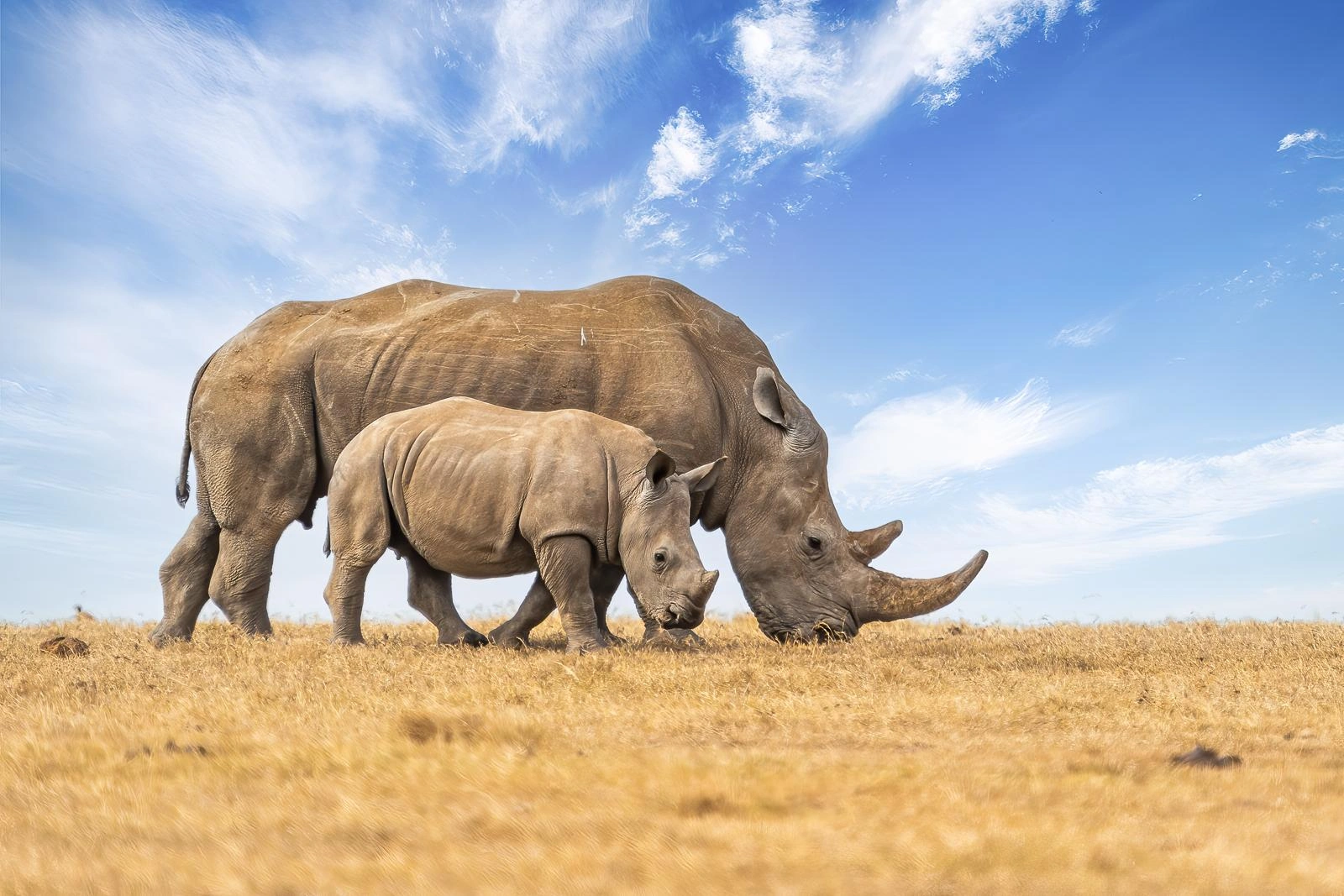 3 Days Laikipia Eco Tour