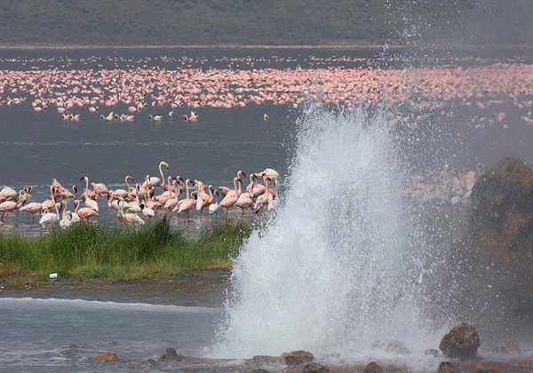 4 Days Kenya Masai Mara Budget Safari