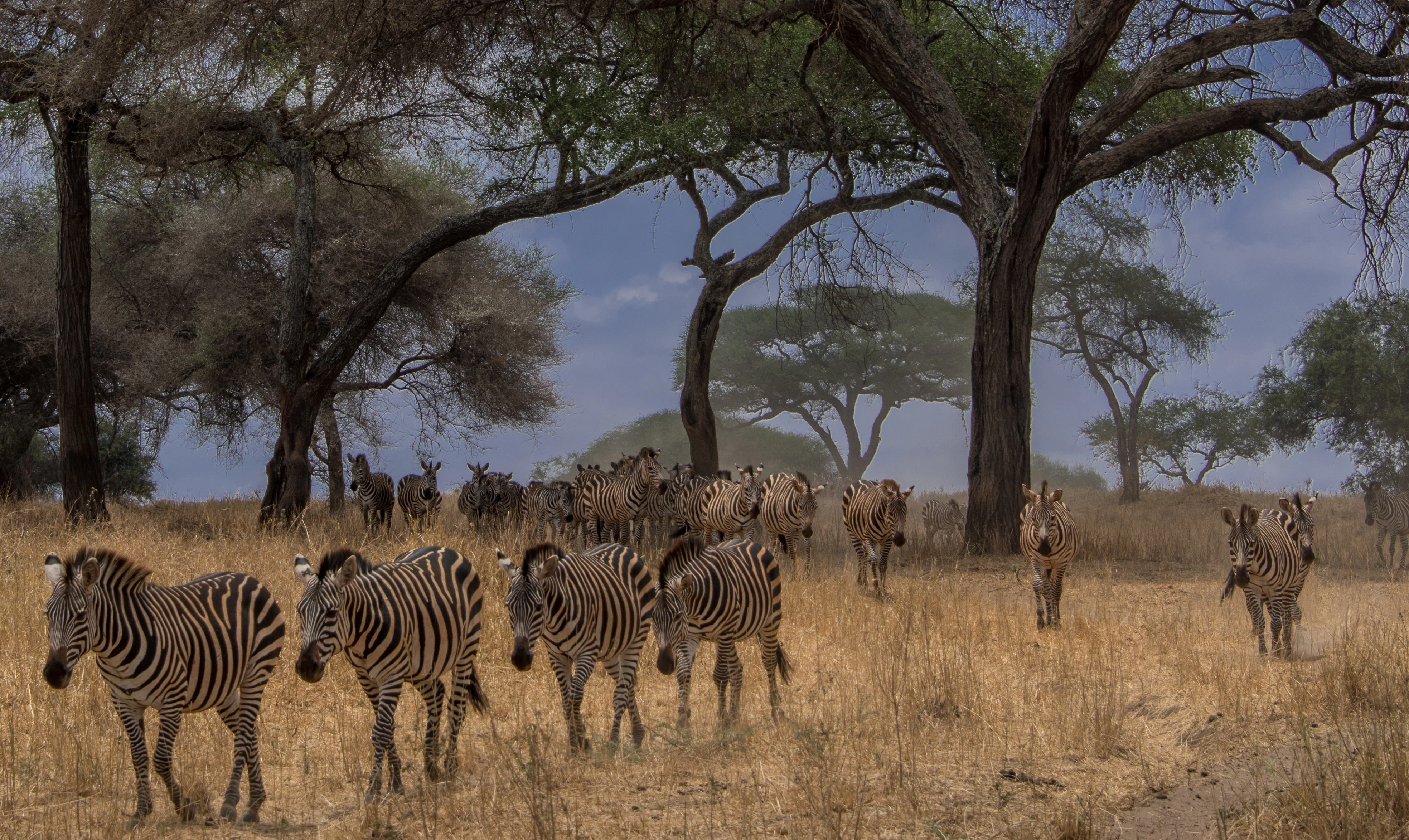 8 Days Across Kenya Safari