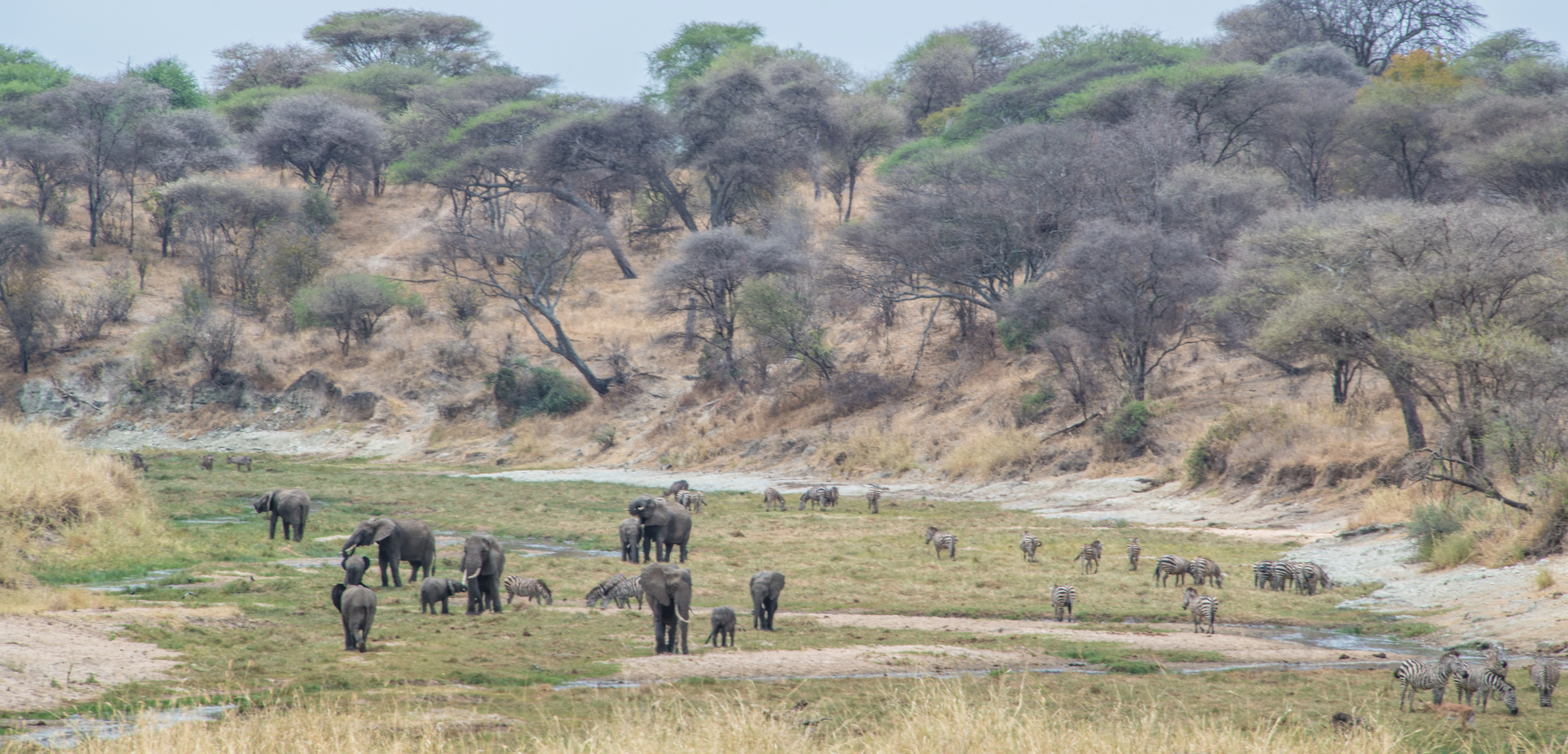 8 Days Across Kenya Safari