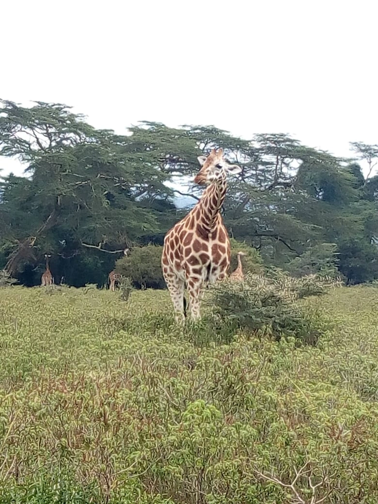 8 Days Across Kenya Safari