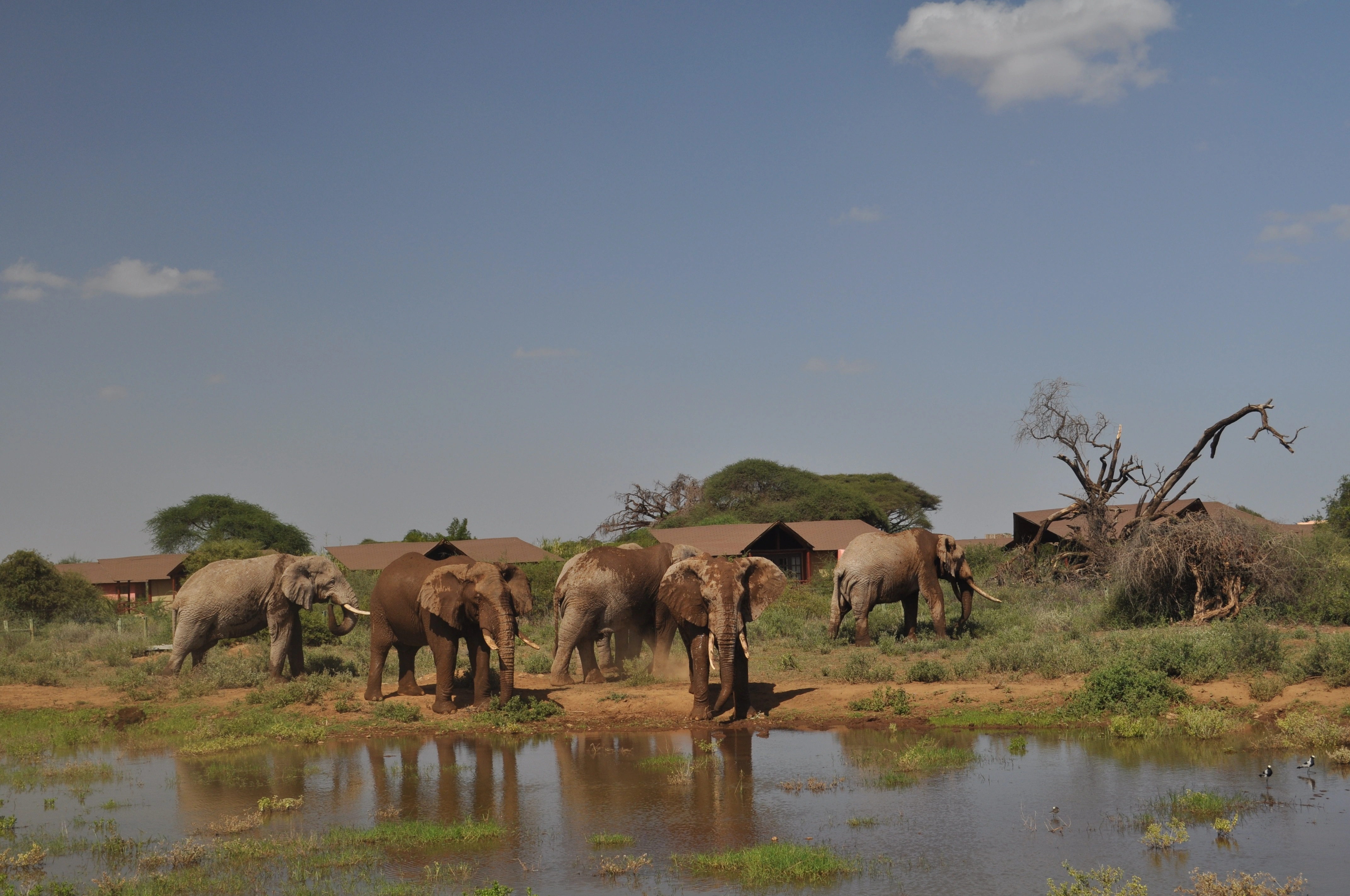 Wonders of Tanzania