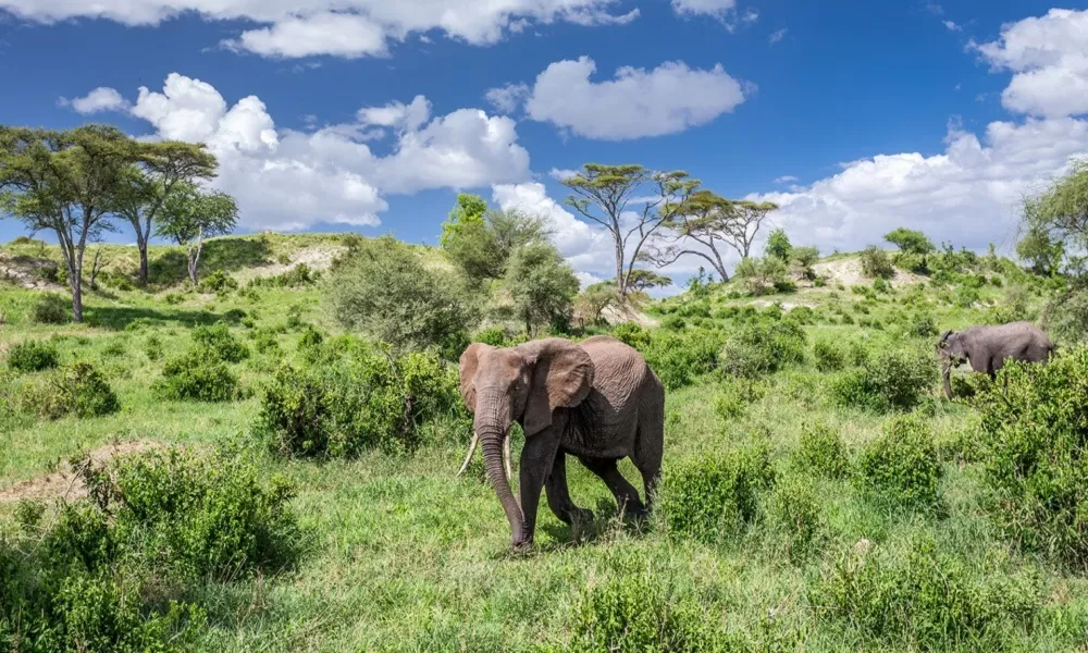 Wonders of Tanzania