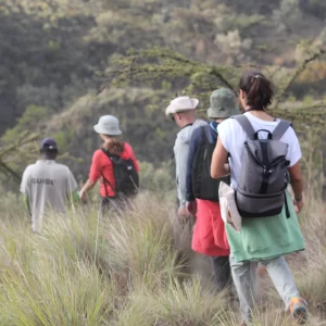 Kilimanjaro Climb Program - Rongai Route