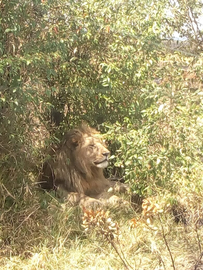 Safari Sabuk (8 Days)