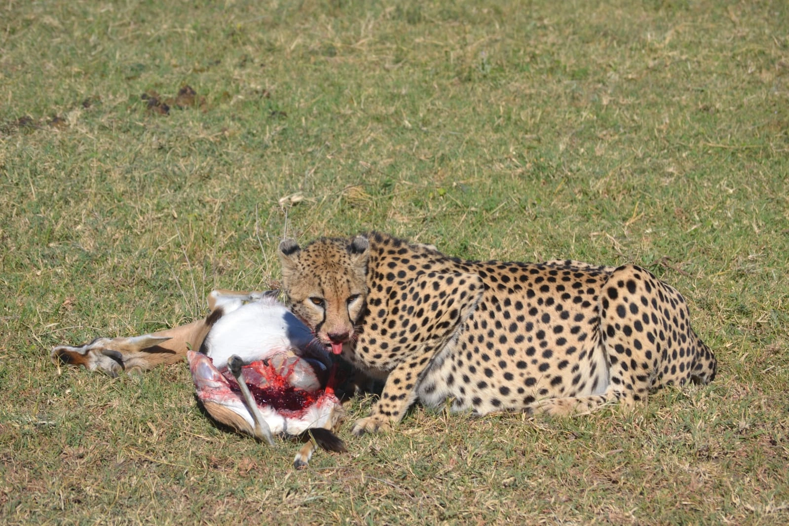 Safari Ilmoran (7 Days)