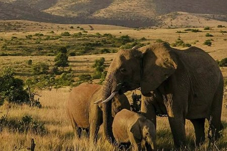 8 Days Samburu, Lake Baringo,& Maasai Mara Safari