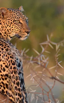 6 Days Great Rift Valley Maasai Mara Safari