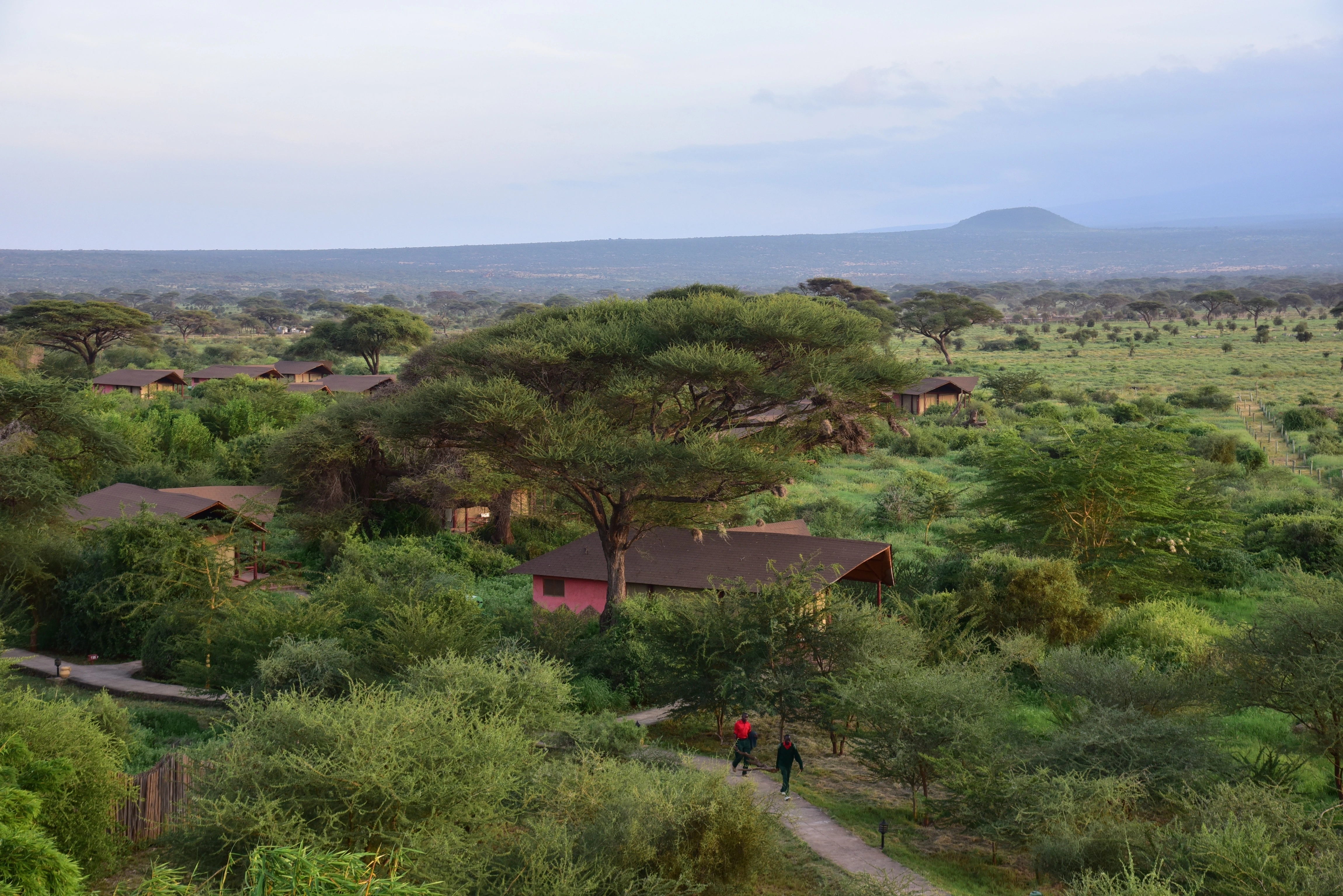 3 Days Amboseli National Park Safari